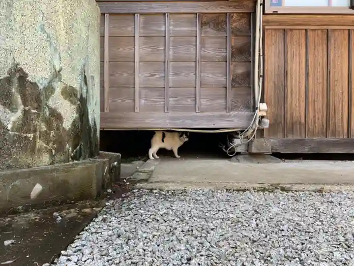 東祥寺(千葉県)
