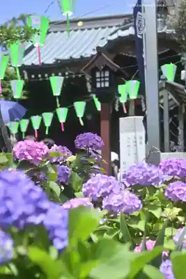 白山神社(東京都)