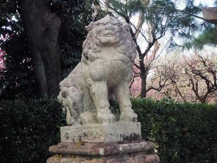 北野天満宮の狛犬