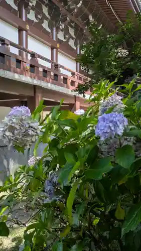  智積院(京都府)