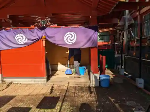 神田神社（神田明神）の動物