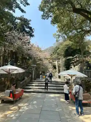 金刀比羅神社(新潟県)