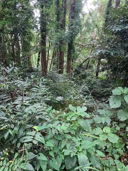 八幡神社の周辺
