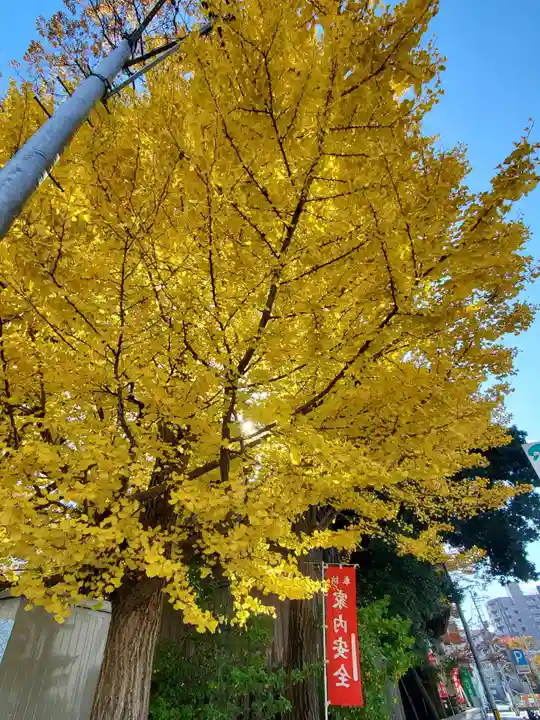 阿邪訶根神社(福島県)