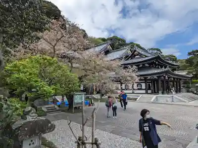 長谷寺のその他建物