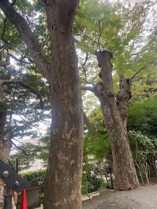 白旗神社(神奈川県)