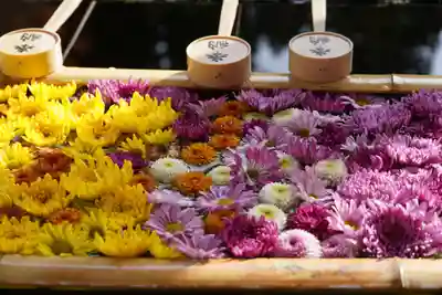 土津神社|こどもと出世の神さまの手水舎