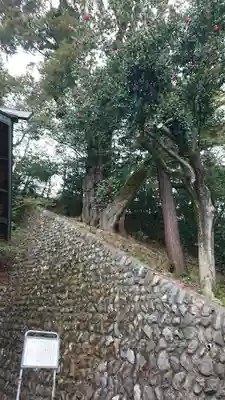 千ケ瀬神社のその他建物