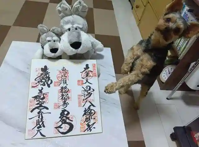 浅草寺の御朱印