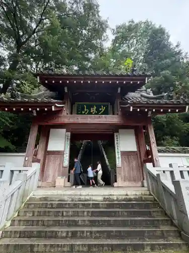 達磨寺(群馬県)