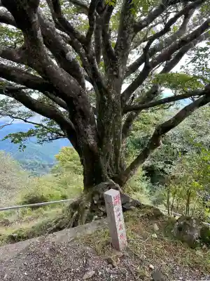 大山阿夫利神社本社(神奈川県)