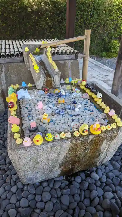 くろ谷 金戒光明寺(京都府)