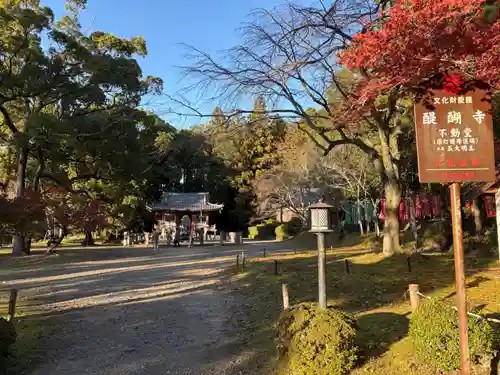 醍醐寺(京都府)
