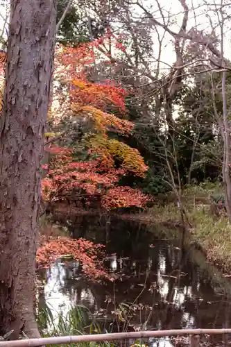 賀茂御祖神社（下鴨神社）の自然