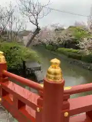 鶴岡八幡宮の建物その他