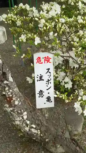 旗上弁財天社のその他建物