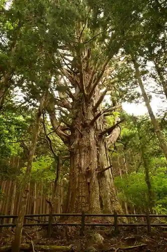 鉾神社(徳島県)