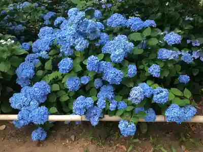 放光寺(山梨県)