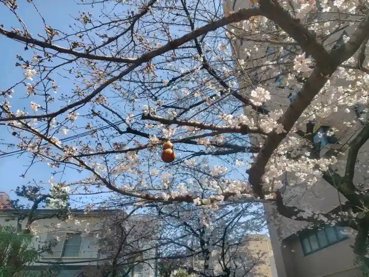 秋葉神社の{uncategorized: "未分類", other: "その他", undefined: "問題あり", building: "その他建物", grave: "お墓", sacred_gate: "鳥居", guardian: "狛犬", statue: "像", buddha: "仏像", history: "歴史", nature: "自然", garden: "庭園", animal: "動物", pagoda: "塔", temizu: "手水舎", mountain_gate: "山門・神門", sanctuary: "本殿・本堂", subordinate: "末社・摂社", art: "芸術", scenery: "景色", jizo: "地蔵", ema: "絵馬", goshuin: "御朱印", omikuji: "おみくじ", items: "授与品その他", amulet: "お守り", goshuincho: "御朱印帳", eats: "食事", festival: "お祭り", votive_dance: "神楽", shichigosan: "七五三参", wedding: "結婚式", experience: "体験その他", initially: "初詣", around: "周辺", anti_infection: "感染症対策"}