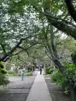 極楽寺(霊鷲山感應院極楽律寺)の庭園