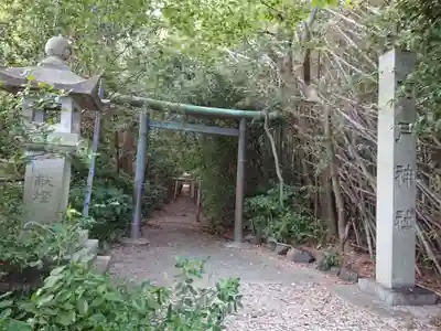 田戸神社の鳥居