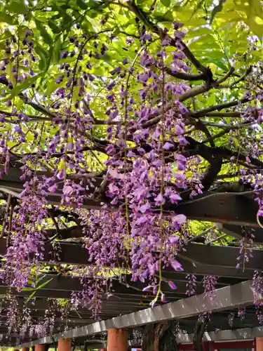 日枝神社の庭園