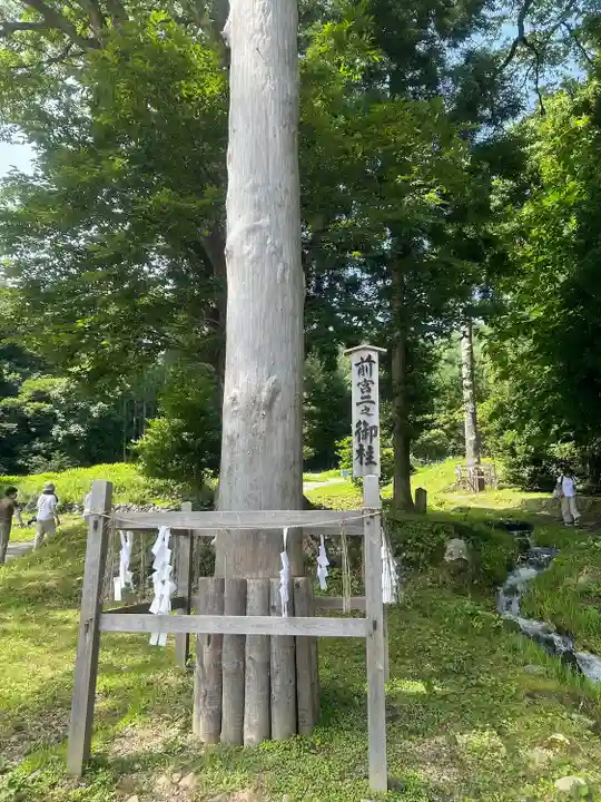 諏訪大社上社前宮(長野県)