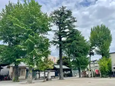 亀有香取神社(東京都)