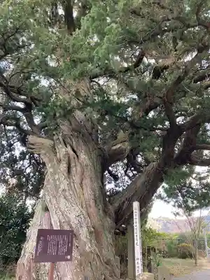 城願寺(神奈川県)