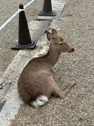 興福寺 南円堂(奈良県)