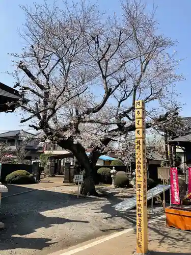 地藏院(茨城県)