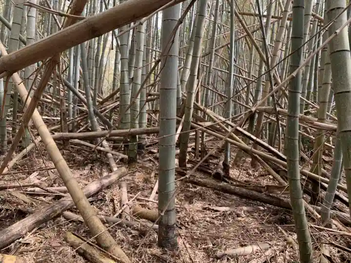 八幡神社の周辺
