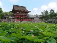 伊賀八幡宮の庭園