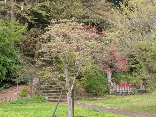 高乾院(福島県)