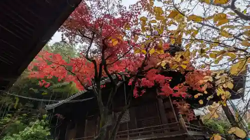 観音寺（山崎聖天）(京都府)