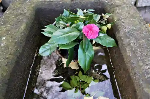 熊野福藏神社の手水舎