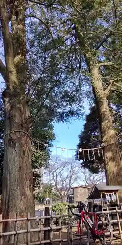 神明大神宮(神奈川県)