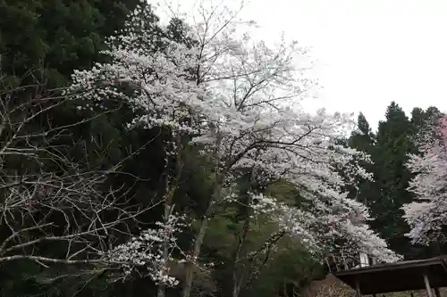 昌福寺の庭園