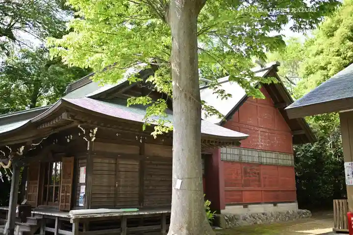 有鹿神社(神奈川県)