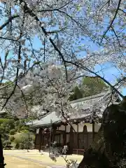 龍城院(岡山県)