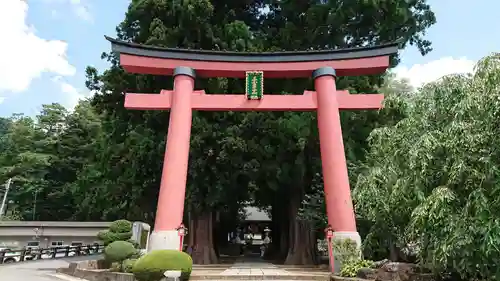 河口浅間神社の鳥居