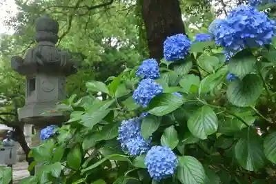 常磐神社(茨城県)