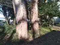 十二神社(大阪府)