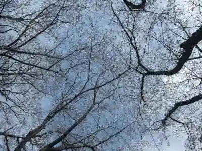 杵築神社(山口県)