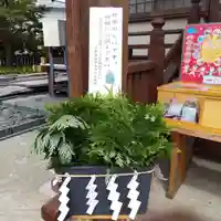 七重浜海津見神社(北海道)