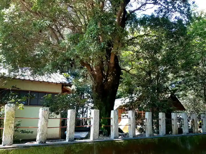 邑勢神社の自然