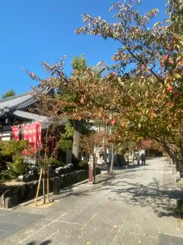 福祥寺（須磨寺）の自然