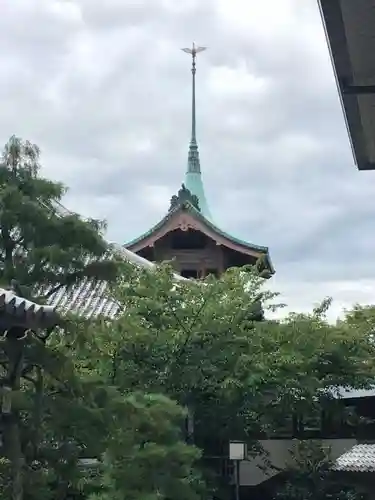 大雲院の景色