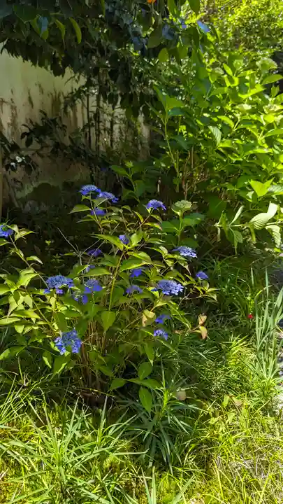 尊陽院(京都府)