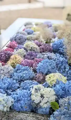 金蛇水神社(宮城県)